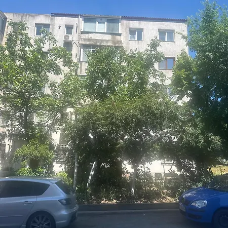 Mireina * Constanţa